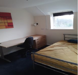 Sheffield Property